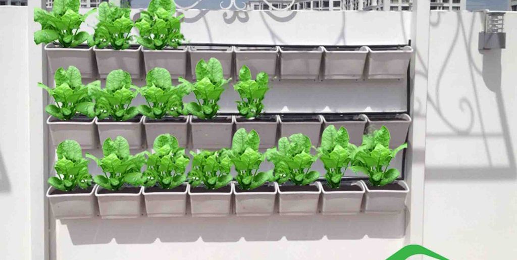BGN01 modul trồng cây trồng hoa trên tường