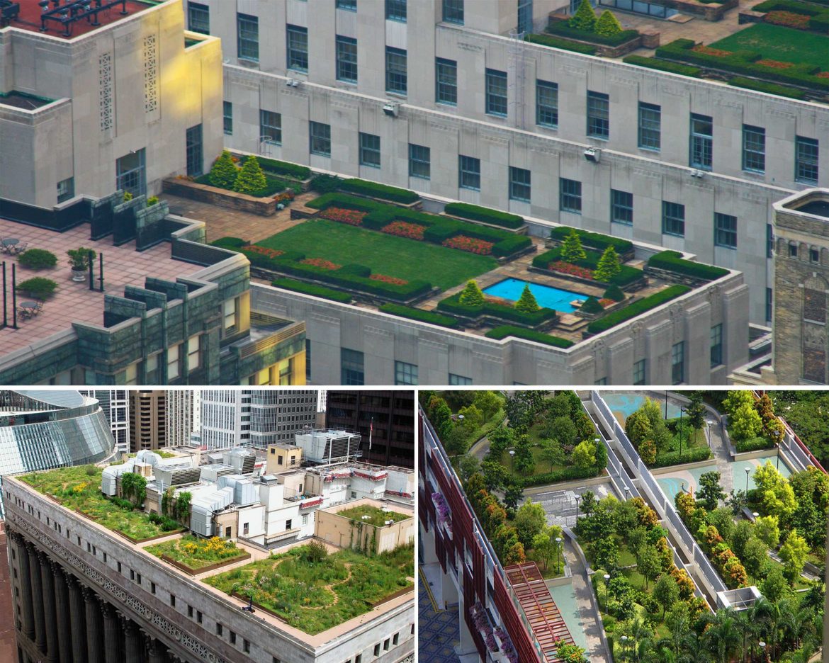 vuon-tren-mai-vi-thoat-nuoc-toan-phan-vi-thoat-nuoc-trong-cay-vi-nhua-thoat-nuoc-rooftop-garden-2