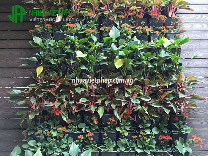 vuon-hoa-tuong-dung-viet-phap-tt6